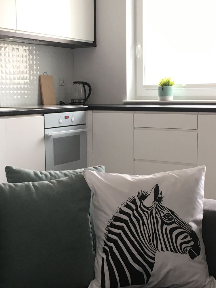 Aprt Miętowa Zebra Żołnierska-PRZY SZPITALU