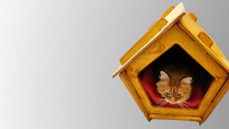 Dom dla Kota/Pet House/Legowisko dla zwierząt