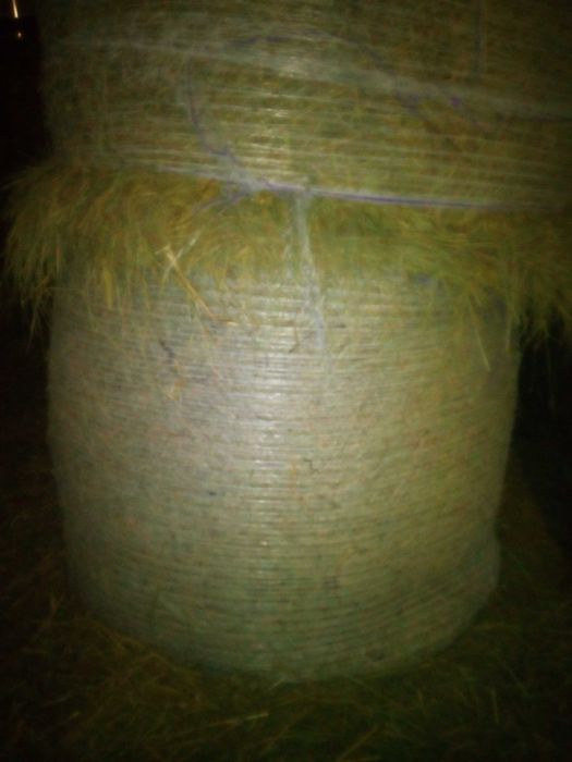 Sianokiszonka i siano