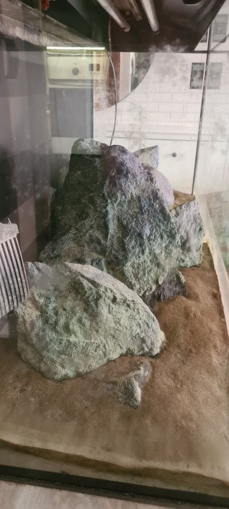 Kamień do akwarium malawi Grey stone
