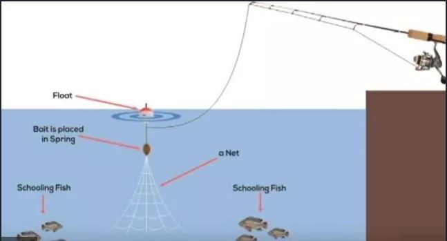 Rede com isca para pesca com cana. Armadilha. Novidade.