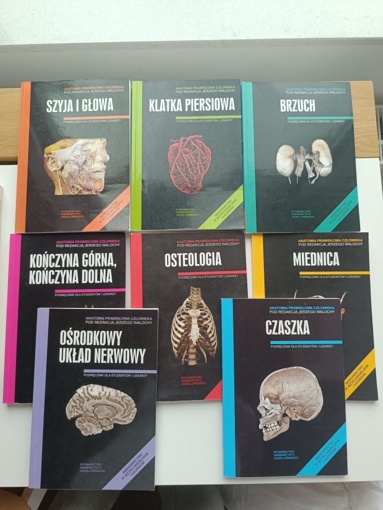 Skawiny Anatomia dla studentów pierwszego roku kierunku lekarskiego