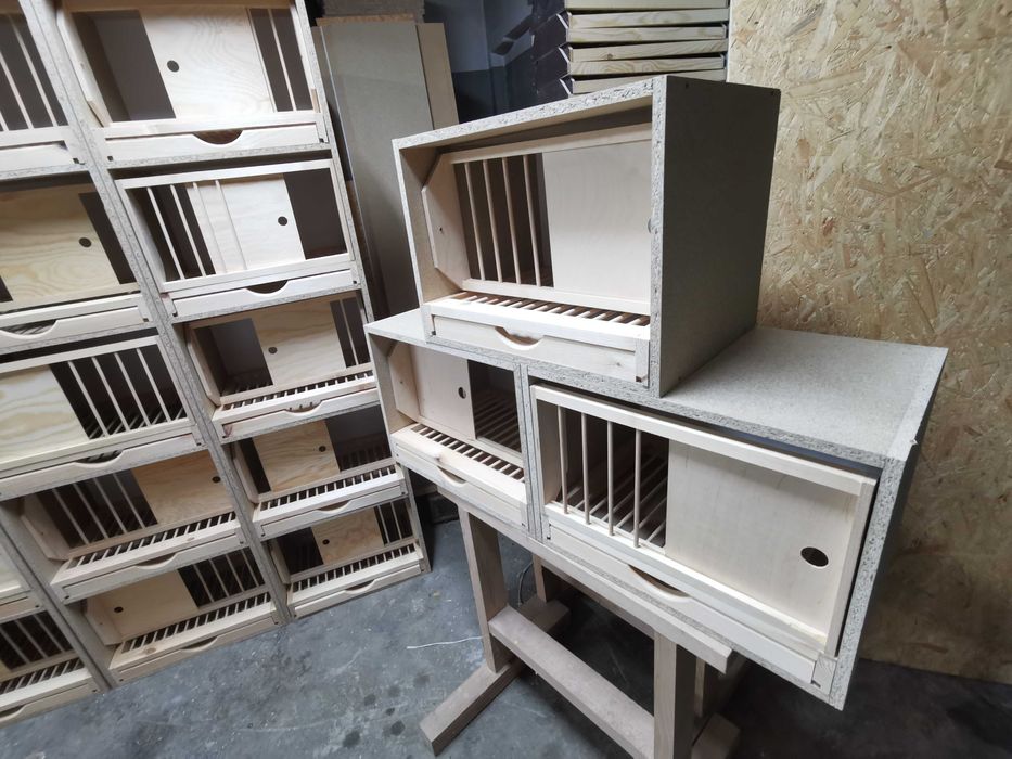 Cele dla gołębi lęgowe