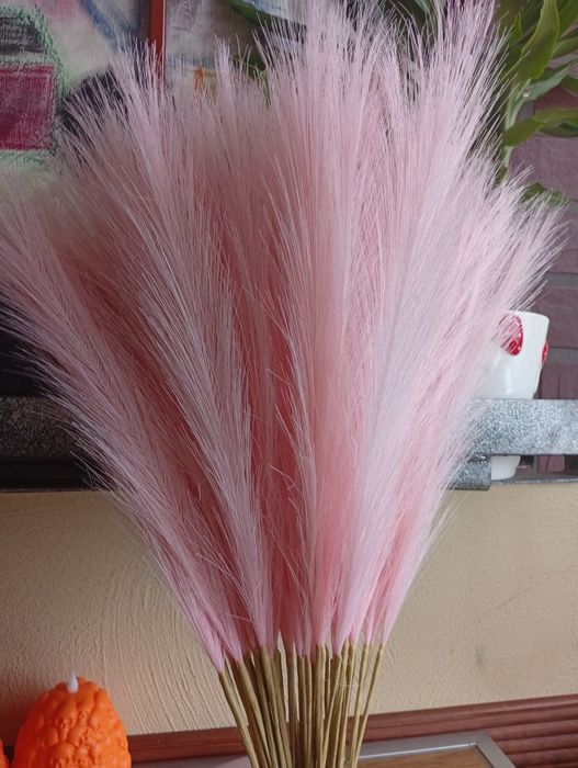 Nowa trawa pampasowa 40 sztuk