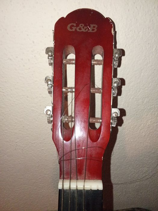 Viola seis cordas