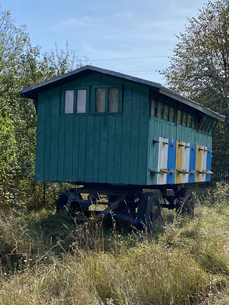 Павільйон для бджіл