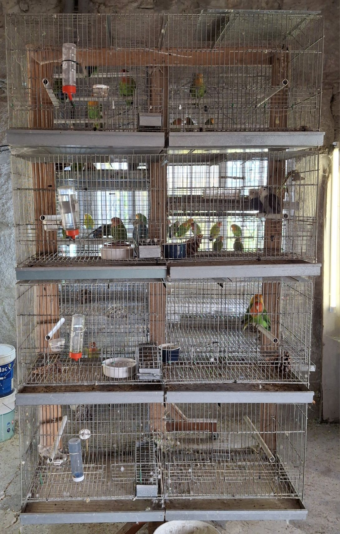 Vendo 4 gaiolas para aves