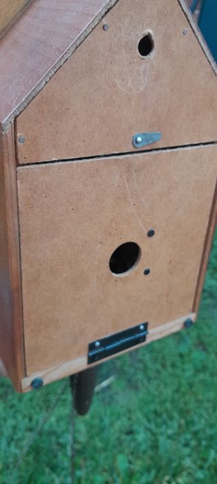 Zegar z kukułkom maiak