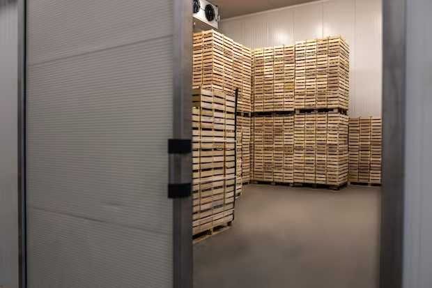 Овочесховище (Луцьк, Камінь-Каширський, Ковель) 0 + 6 °C