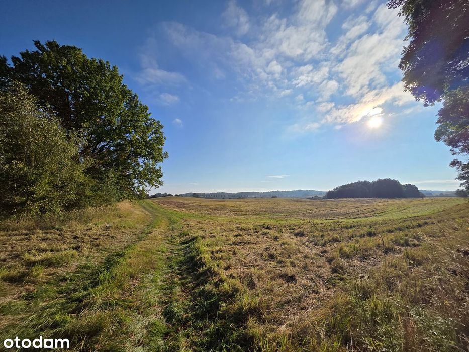 Duża działka rolna 26,9 ha – Stare Węgorzynko (grunty orne)