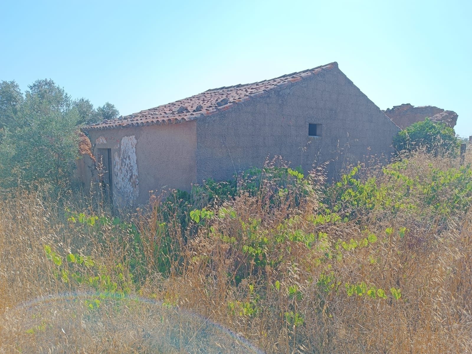 Herdade de 27 hectares