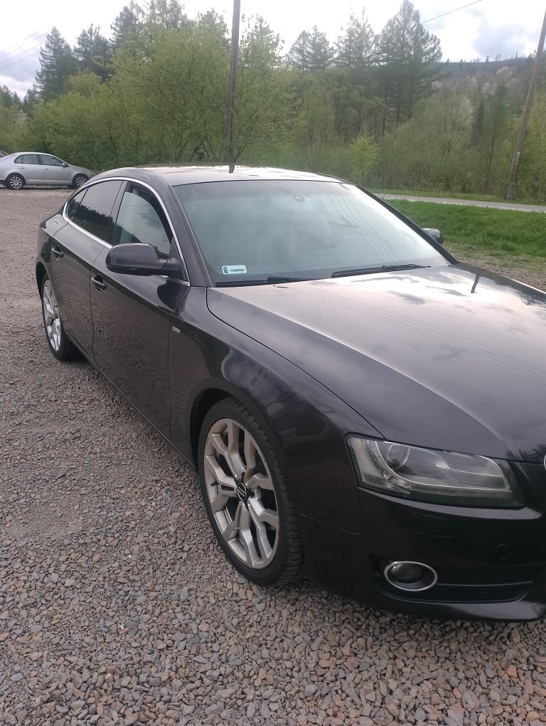 Audi A5 2, 7 TDI Sport back S-Line