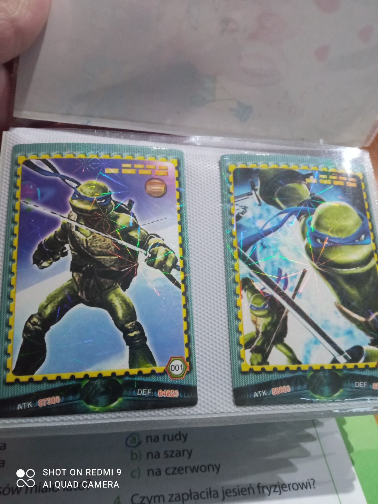 Karteczki karty  żółwie ninja
