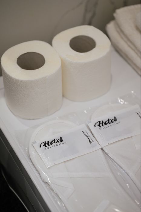 Великі апартаменти/квартира подобово в  центрі Ужгорода, обл. Лікарня.