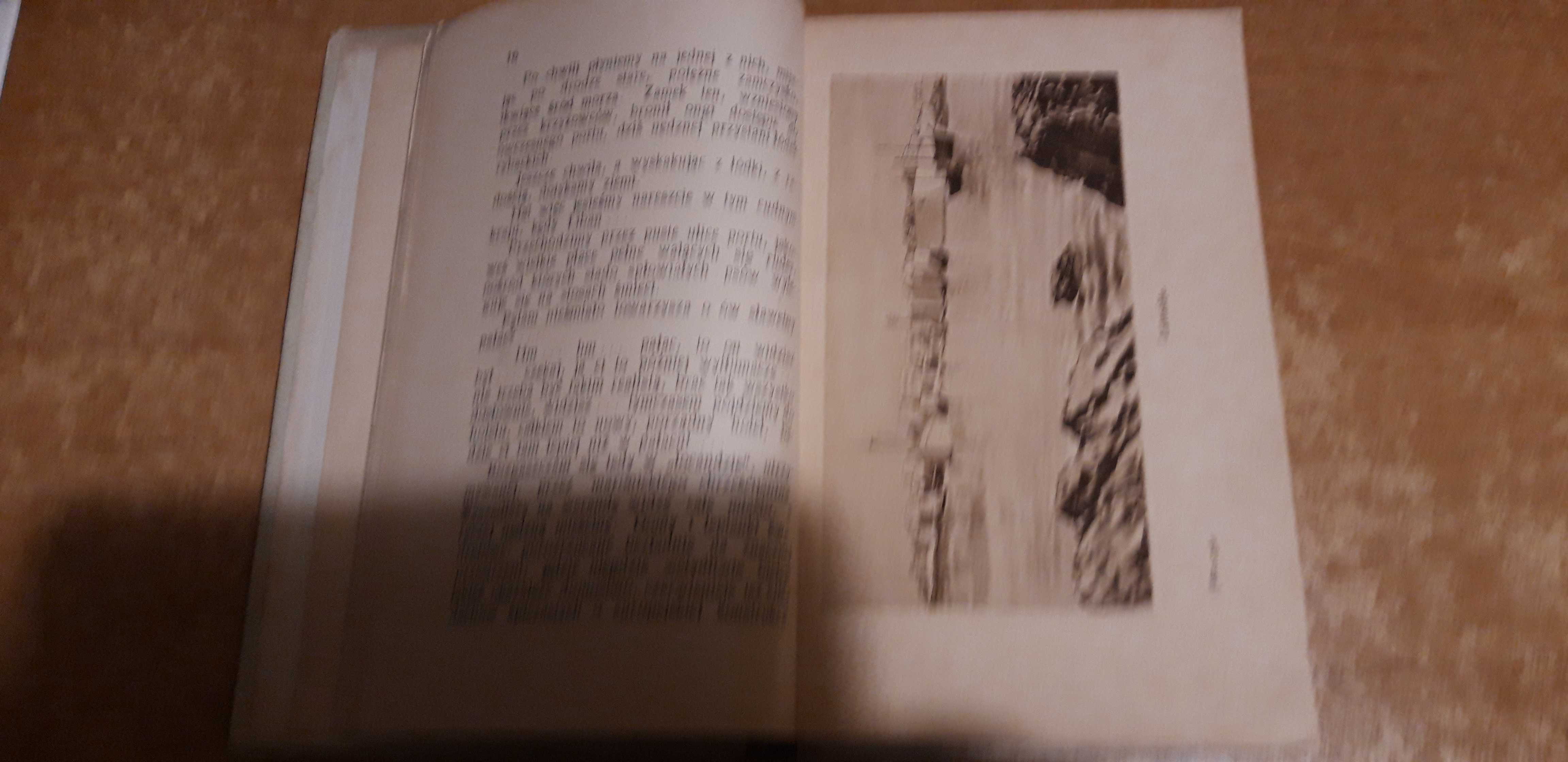 Wśród  gór  i  pustyń Coelesyrji- A. Grabowski- 1925, il., opr.