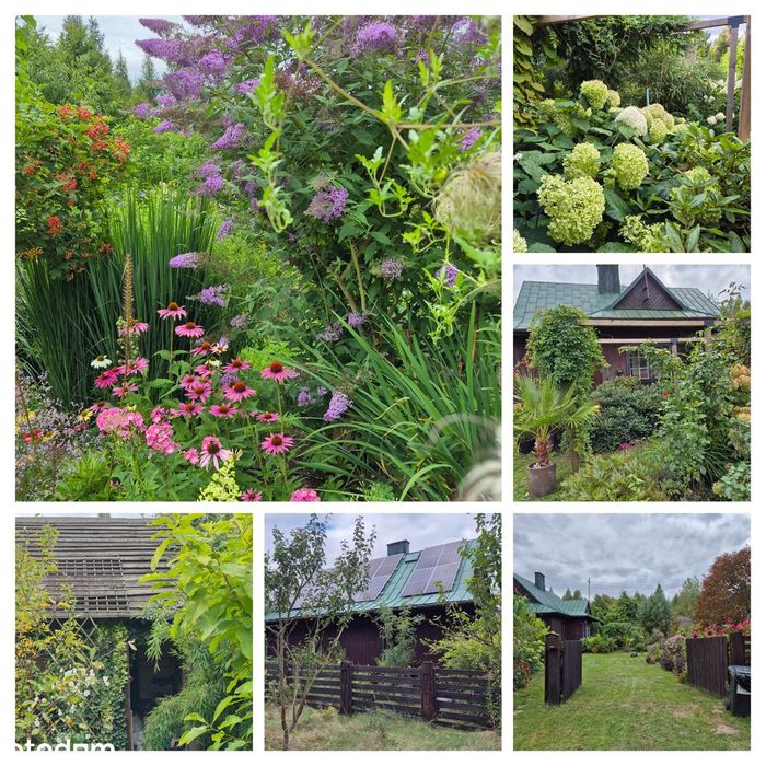 Klimatyczna dawna leśniczówka z pięknym ogrodem w stylu angielskim