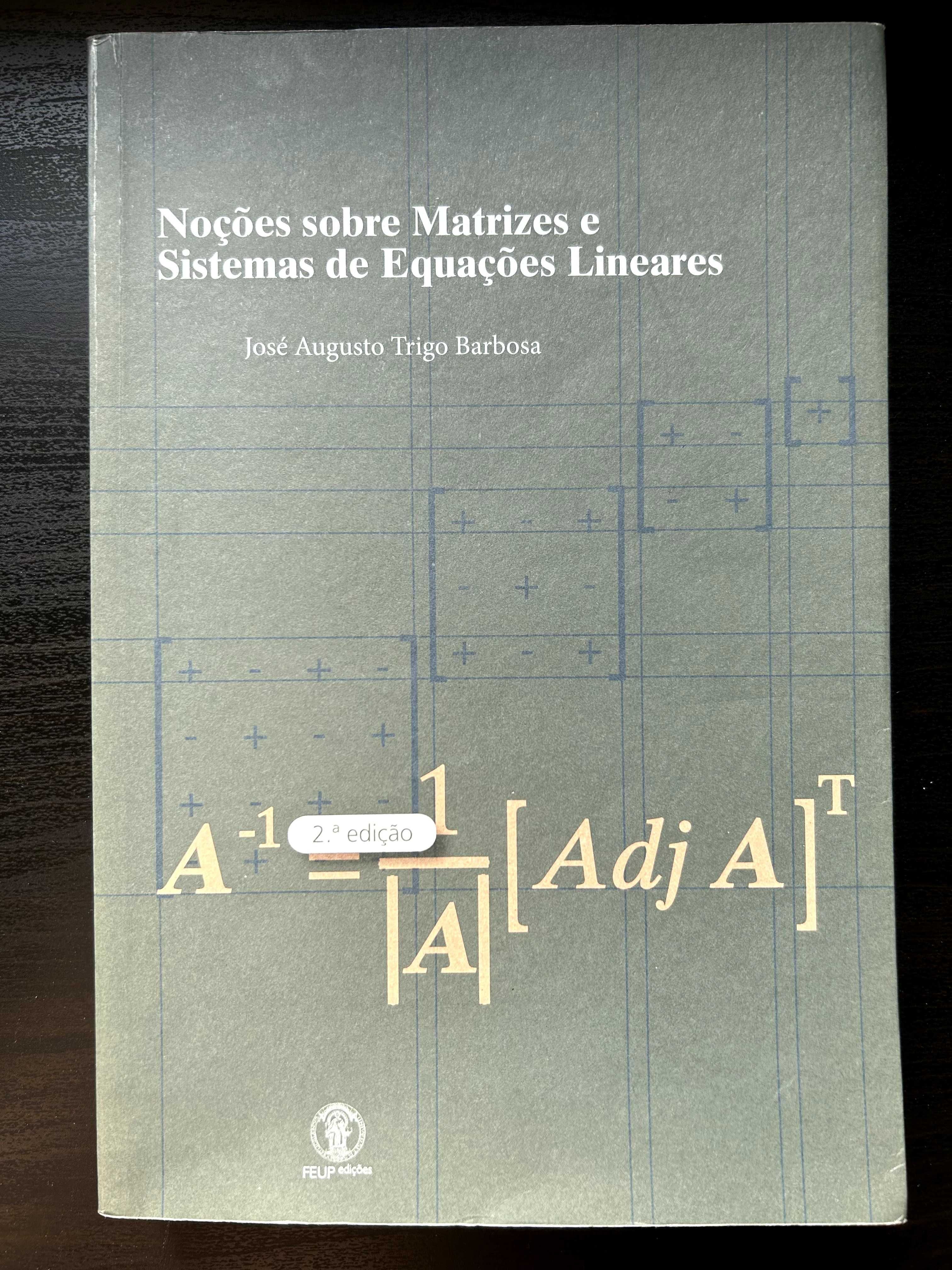 Noções sobre matrizes e sistemas de equações lineares - 2ª Edição