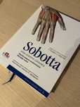 Atlas anatomii człowieka Sobotta pojęcia anatomiczne + narząd ruchu