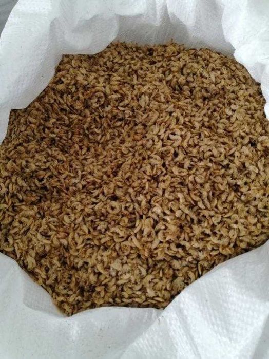 Продам сухой гаммариус