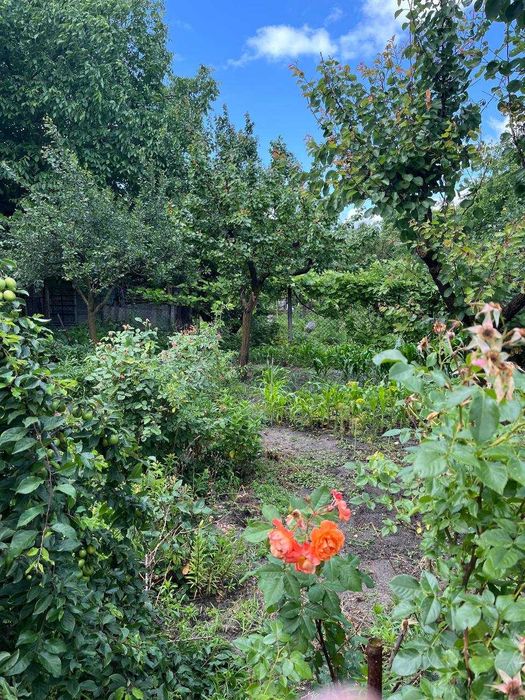 Продам. Будинок, дача, Осокорки Садова 80, поруч Дніпро, пляж