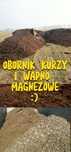 Kurzy Obornik I Wapno