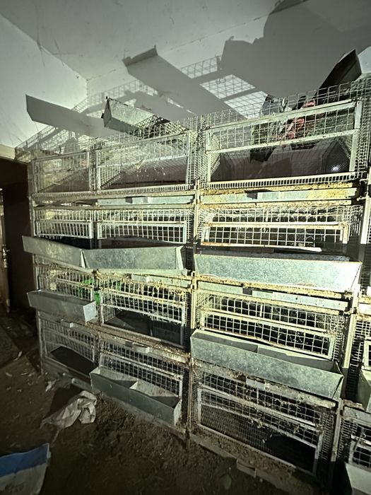 Клітки бройлер, кролики батарея клетки 20 шт