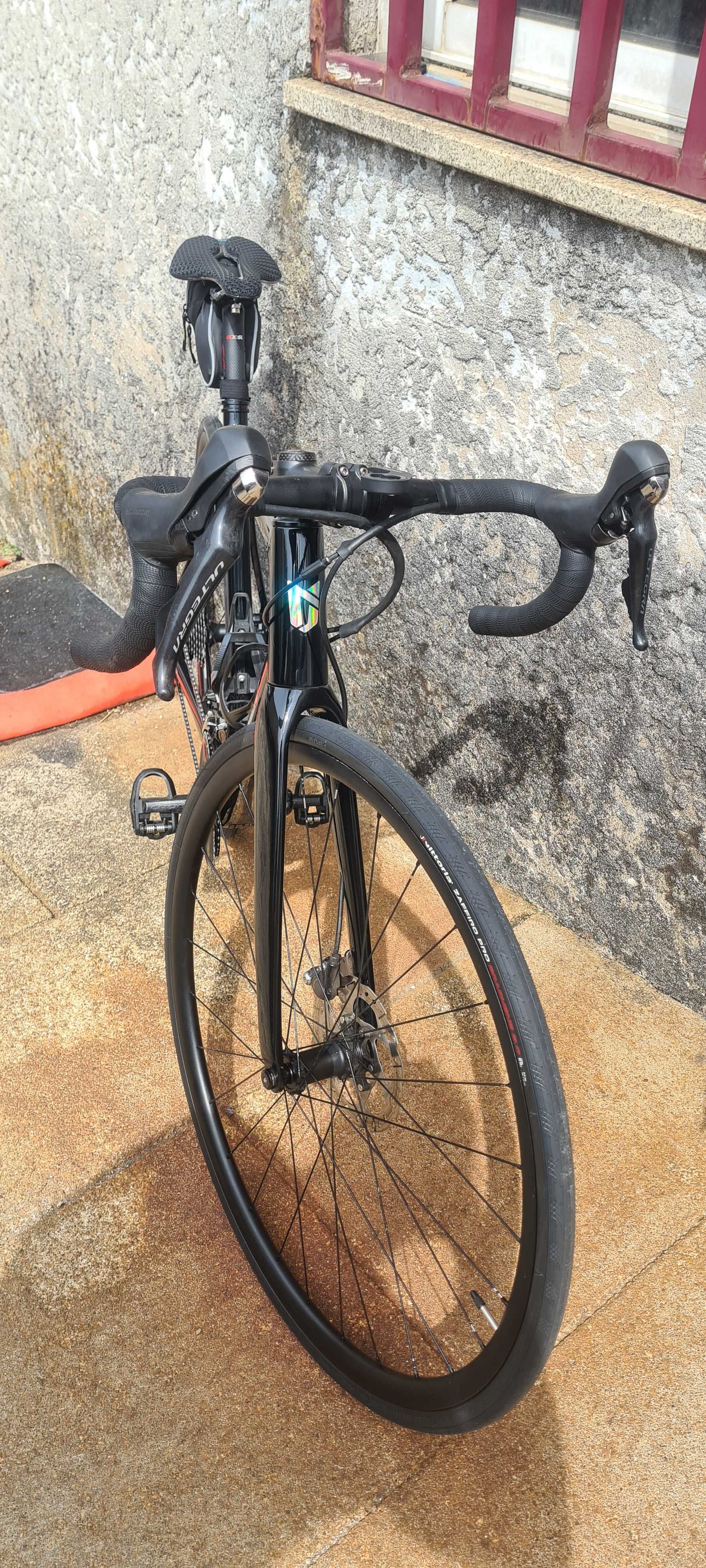 Coluer invicta disc