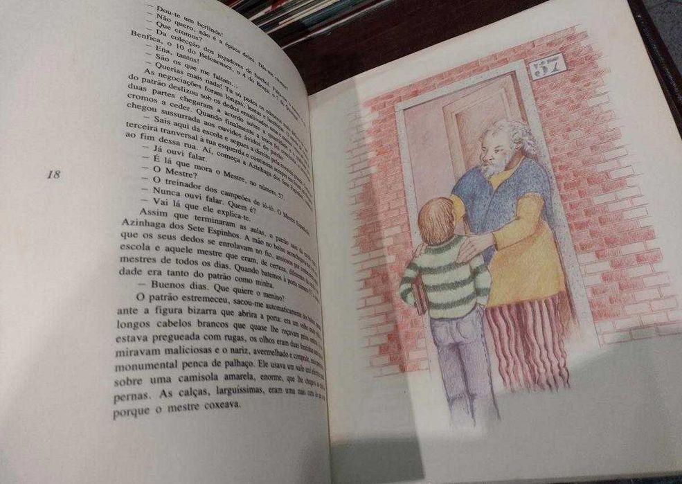 O Iô-Iô Apaixonado - Carlos Correia