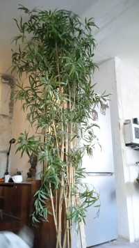 Декоративное искусственное дерево Бамбуковое, высота изделия 2,5 метра