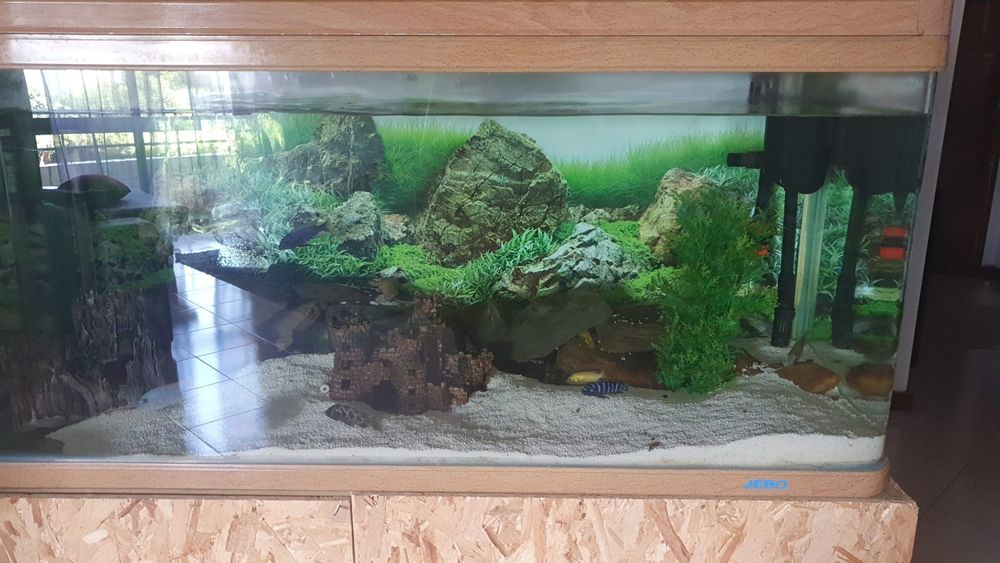 Aquario grande a venda