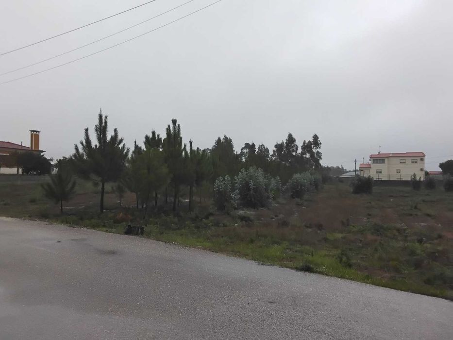 Terreno Rústico à venda