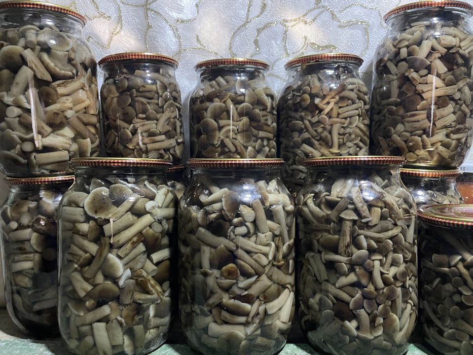 Опеньки мариновані