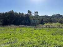 Terreno Urbanizável em Gandra