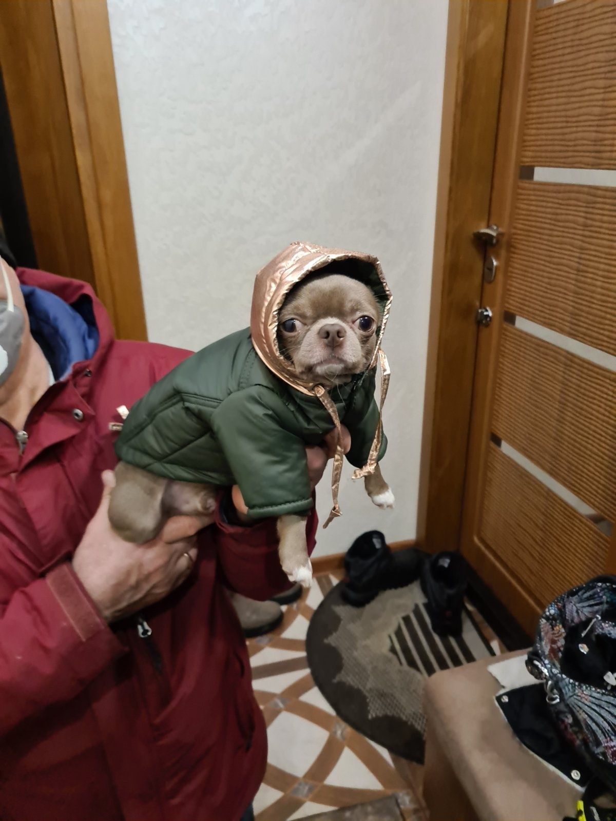 Вязка чихуахуа мини лиловый