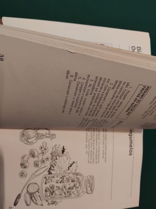 Livro “os campeões são vegetarianos …e você?”