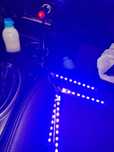 Led Azul Tira de 4 pontas