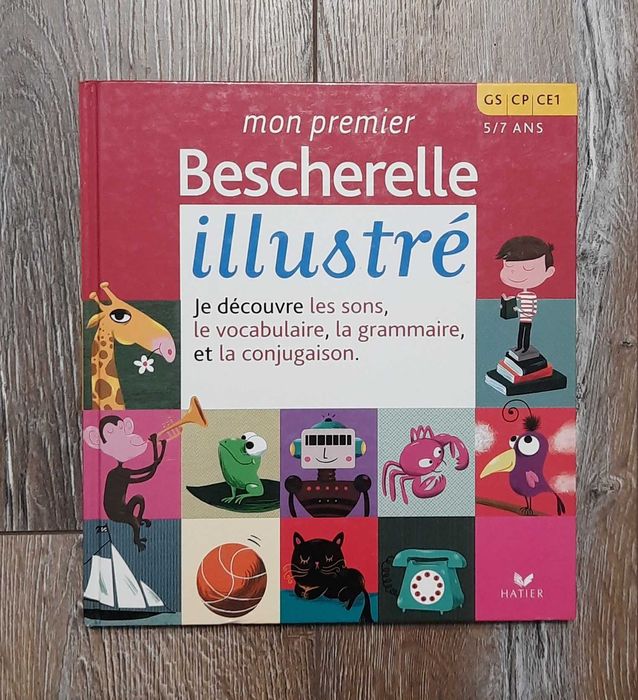 Детская книга на французском Mon Premier Bescherelle Illustre