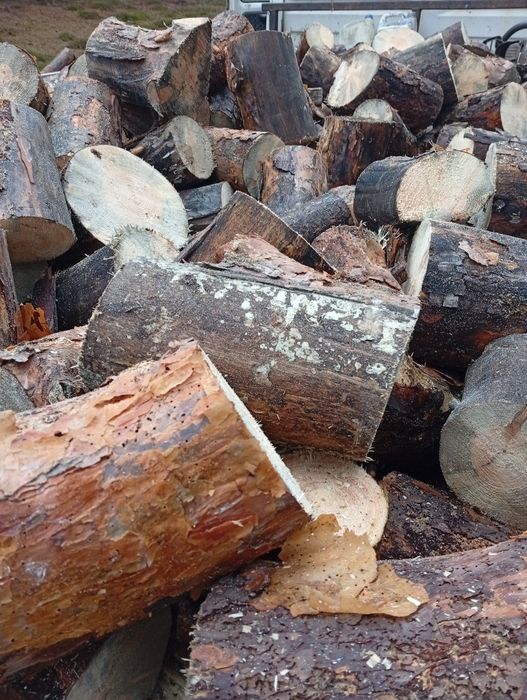 Drewno opałowe  sosna