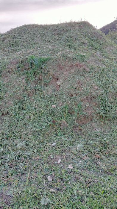 Oddam ziemię za DARMO