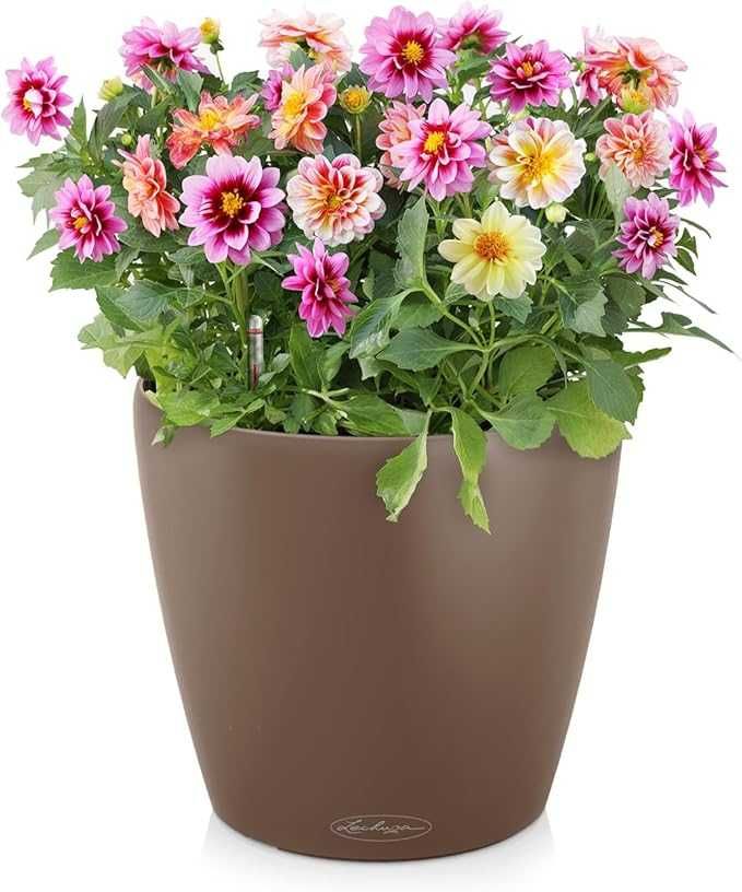 Lechuza Donica Classico Color  ‎43x43x40cm  33l stan bardzo dobry