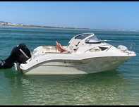 Quicksilver Cruiser 540