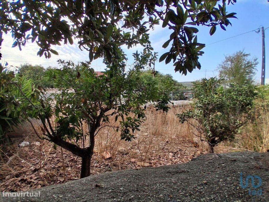 Terreno em Luz de 100,00 m2
