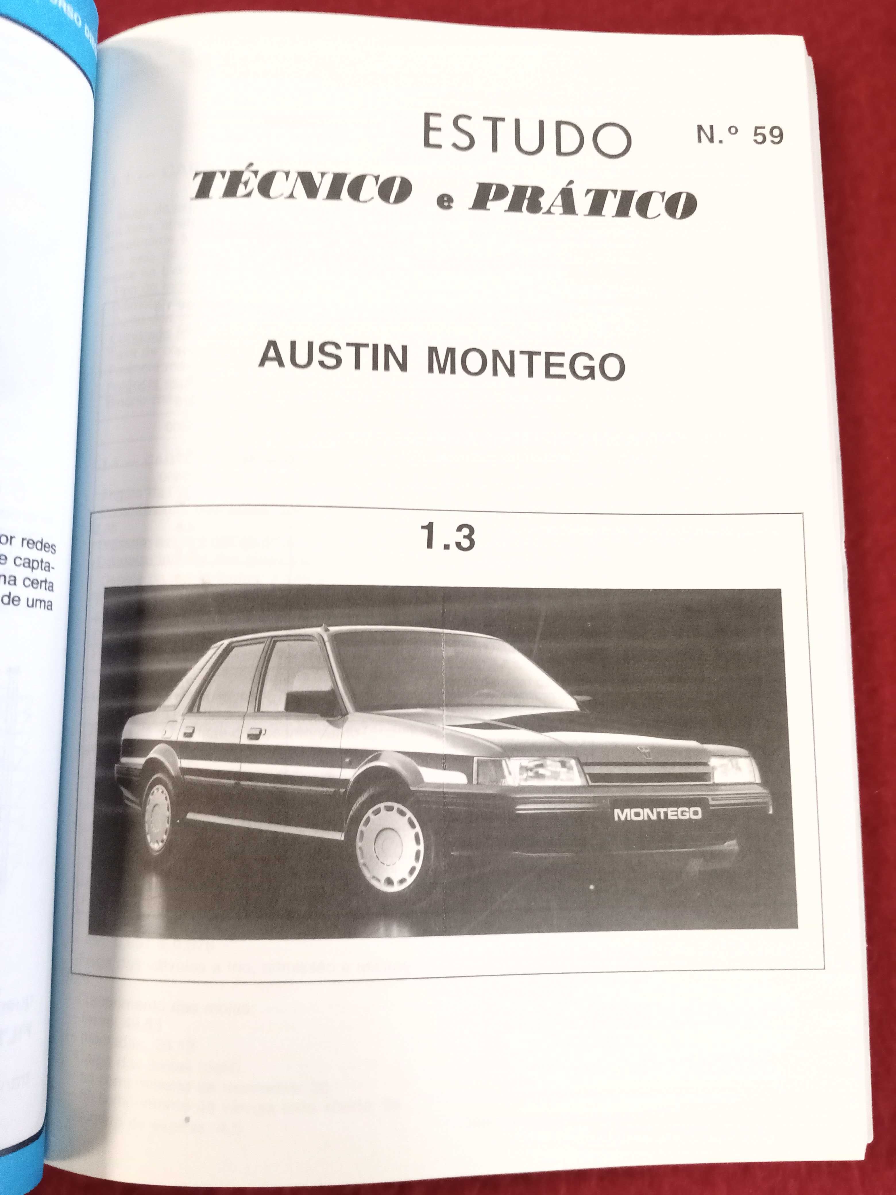 Rta: Austin Montego 1.3 sedan