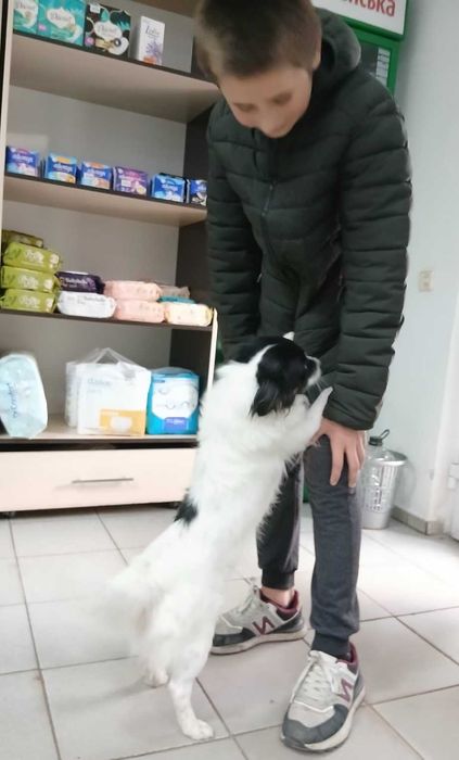 Маленький Бімка в добрі руки