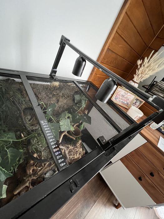 ExoTerra terrarium