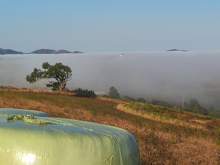 Rolos de fenosilagem