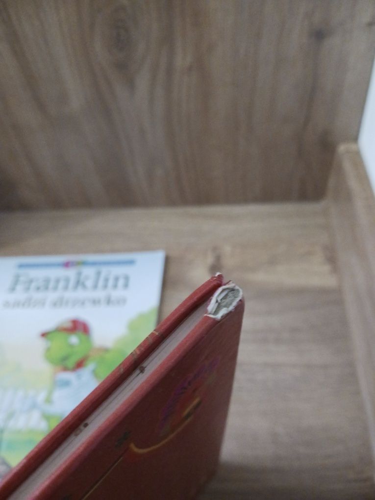Książki dla dzieci Franklin I Mańkut