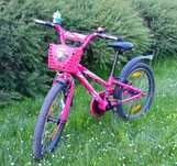 Specialized Hotrock 20cali