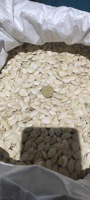 Гарбузове насіння!