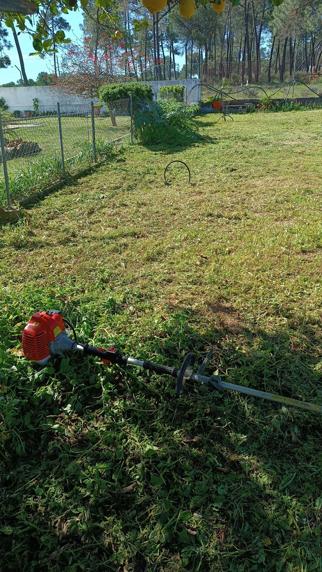 Serviços jardinagem